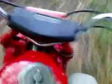 pit bike wheelies and riding the track down in the woods