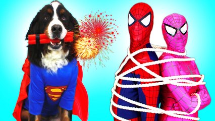 Spiderman, Elsa, Pink Spidergirl & Superdog vs Venom! w_ Joker & Spiderbaby! Real Life Superheroes (1080p)