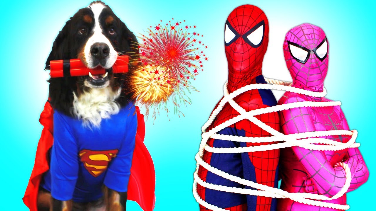 Spiderman, Elsa, Pink Spidergirl & Superdog vs Venom! w_ Joker & Spiderbaby! Real Life Superheroes (1080p)