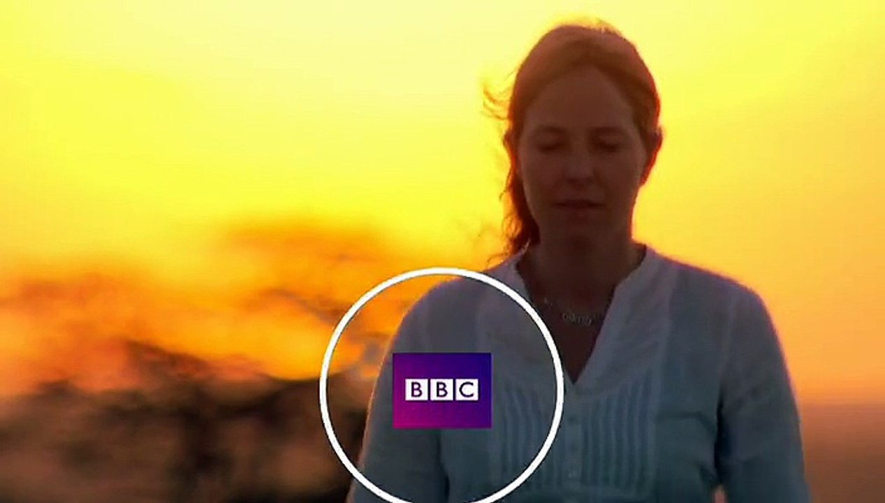 Belgesel - BBC - İnsanın Kökeni 2011 (2)
