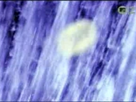 Book of Love - Pretty Boys And Pretty Girls