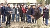 Atatürk Üniversitesi Erzurum'da Elma Yetiştirecek