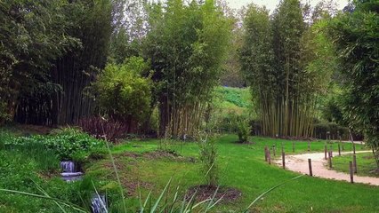 Bambouseraie Version Courte