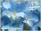 Beautiful 99 names of Prophet Muhammad(PBUH)