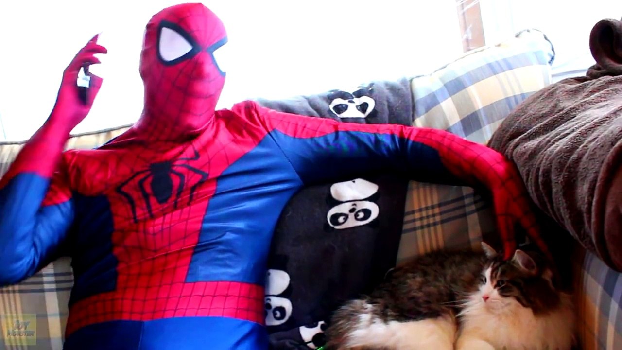 Spiderman vs Catwoman vs Batman in Real Life! Catwoman Kidnaps Batman - Fun Superhero Movie ) [HD, 720p]