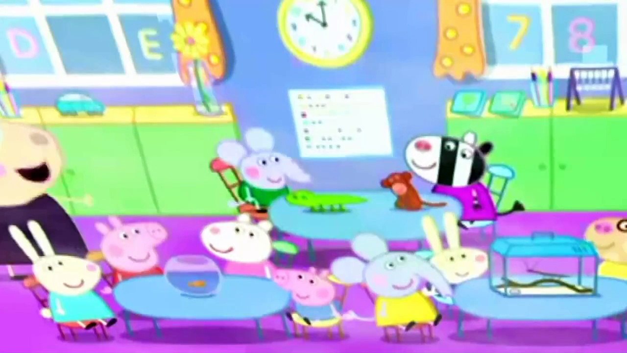 New Peppa Pig Cartoon || The Pet Competitio - Spider Web