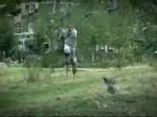 Pub FLY JUMPER!
