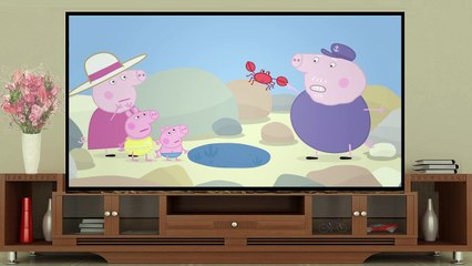 TimeForKidsTV | Peppa Pig - Rock Pools (clip)