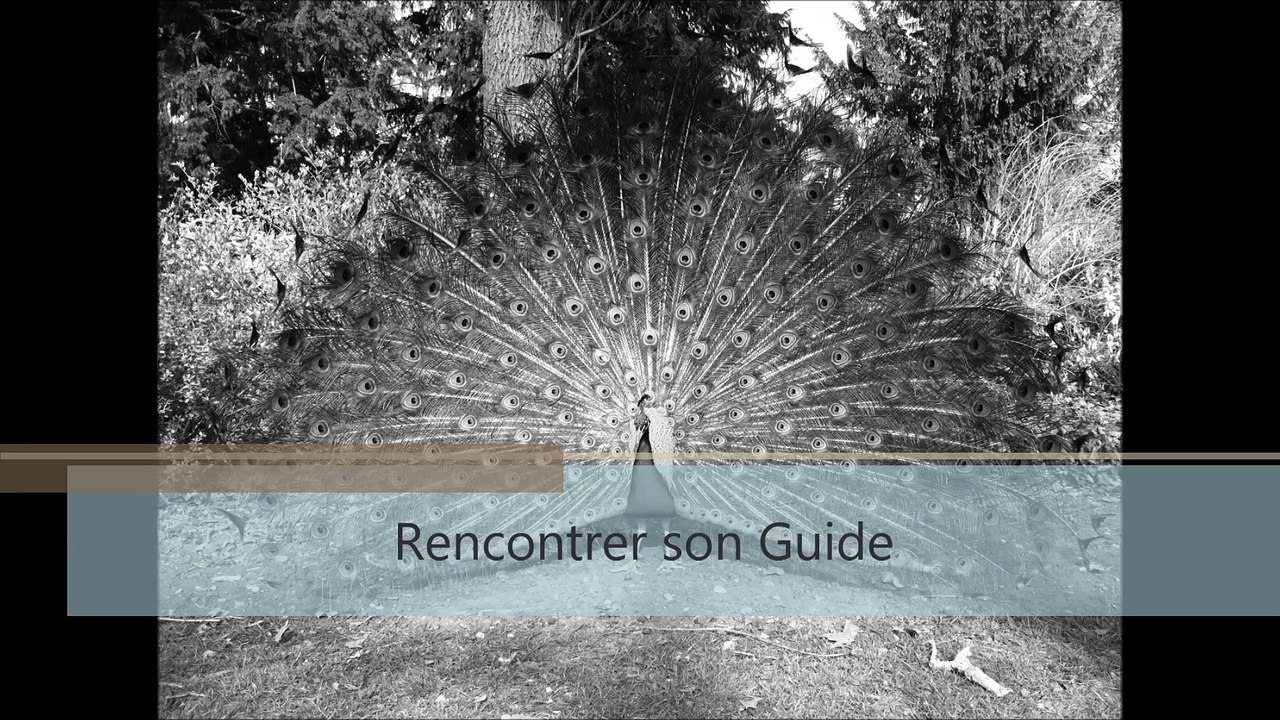 rencontrer son  guide