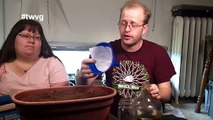 Growing Radishes in Coco - Growing Indoors