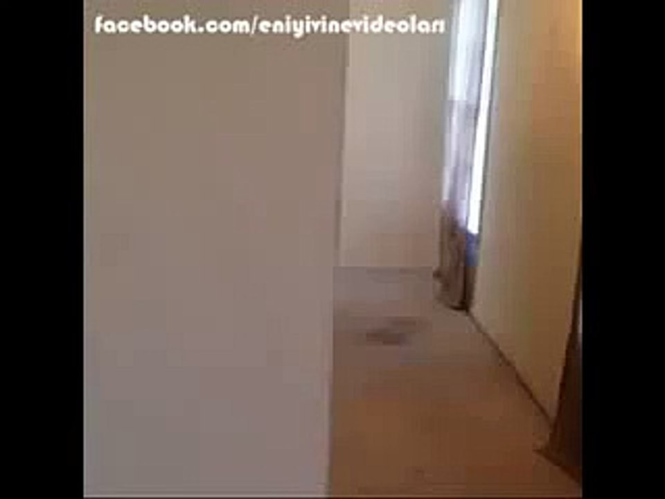 Örümcek Adamı Korkutmak Vine