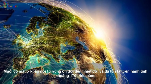 Những Sát Thủ Hút Máu Khủng Khiếp Và Đáng Sợ Nhất Thế Giới