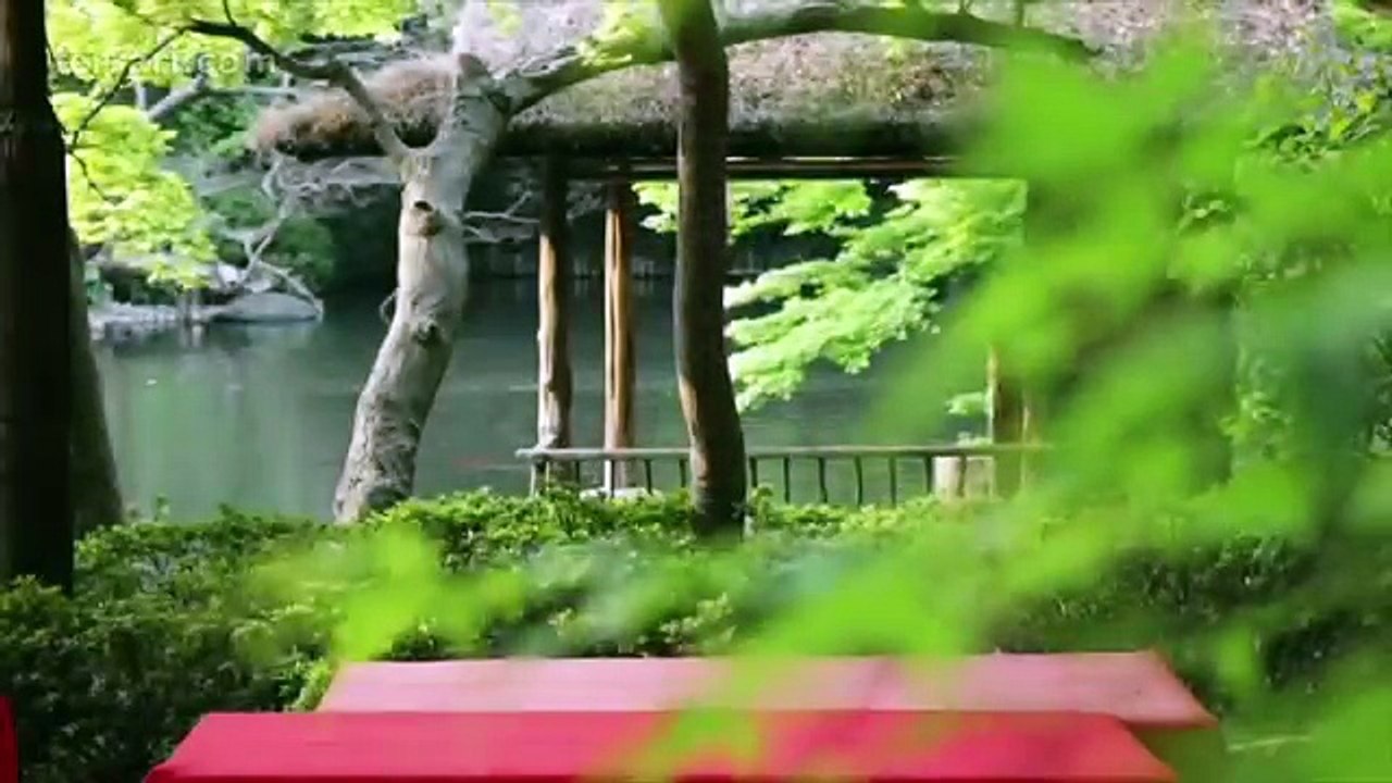 Japan celebrates the Premiere of Ferrari California T in Tokyo