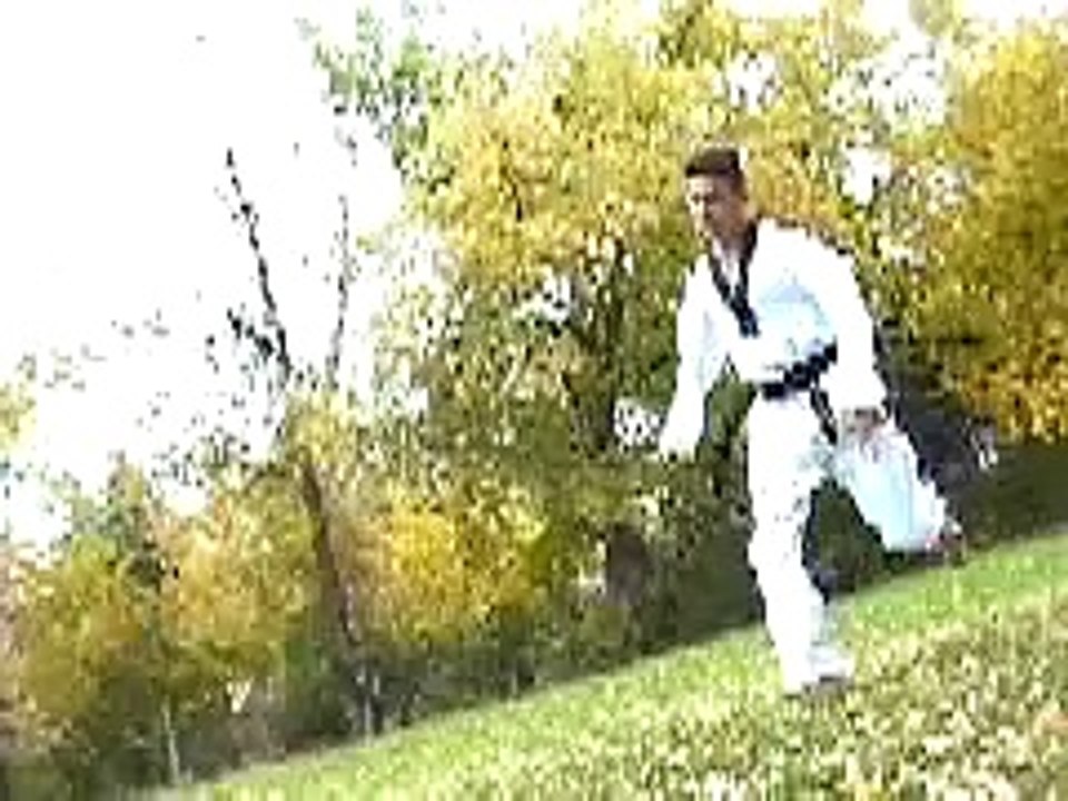 Taekwondo