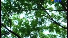 ssst Paris Episode 067 Part 2