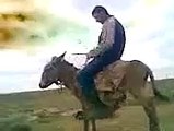 Funny Videos  - Chal Mara Khota - Tubeinto.com