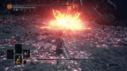 [DARKSOUL3]恥部隠しでクリア