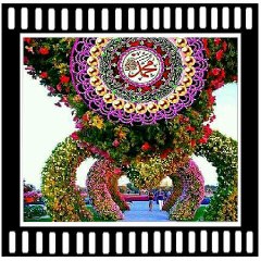 Hafiz muzammil sultani full bayan