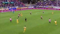 Alberto Gilardino Goal - Frosinone 0 - 1 Palermo