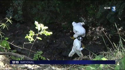 La Côte d'Azur menacée par une marée noire