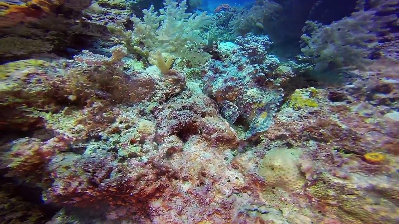 Scuba Diving Philippines 2016
