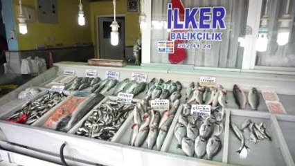 Tezgahlarda Hamsinin Yerini Levrek ve Çipura Aldı