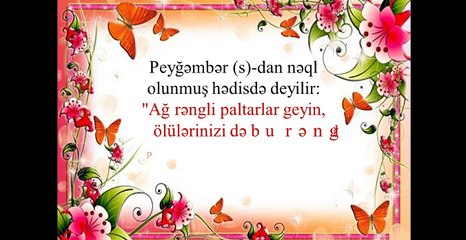 Paltarlarin rengleri haqqinda