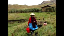 Peru News: Máxima Acuña receives Goldman Prize in Washington D.C.
