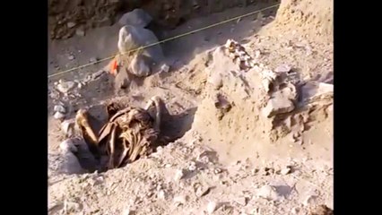 Peru News: Pre–Hispanic cemetery excavated in Trujillo