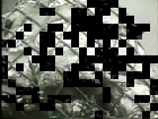 Tarzan really loves his nut sack 1960's TV Commercial