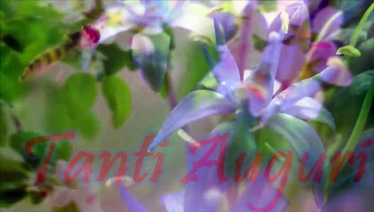 tanti auguri Daniela....