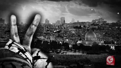 فاصل وأنتم الأعلون | طيور الجنة