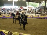 Caballos espanoles