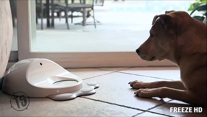 7 Things you didn't know existed  - Latest Technology