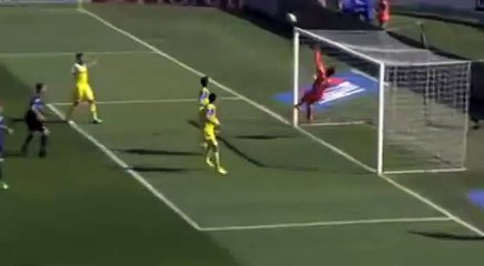 Marco Borriello Goal - Atalanta vs Chievo 1-0 24.04.2016