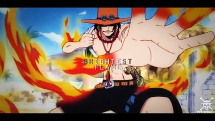 One Piece _ Hall of Fame
