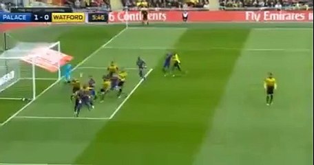 Crystal Palace vs Watford 1-0 FA CUP Yannick Bolasie Goal  24-04-2016 HD