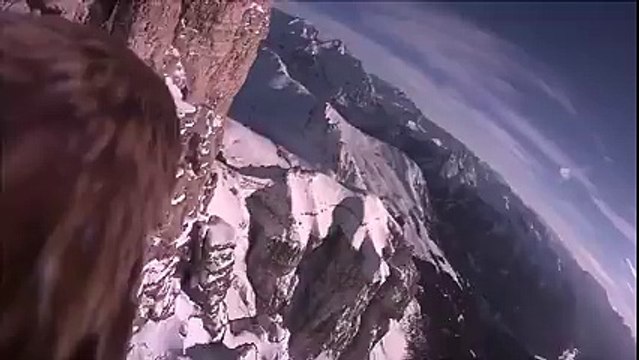 Le vol d'un aigle en caméra embarquée : magnifique