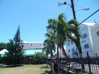 ST. KITTS 048 P1080808