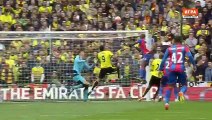 Crystal Palace (2:1) Watford – Highlights 24/April/2016 Fa Cup HD