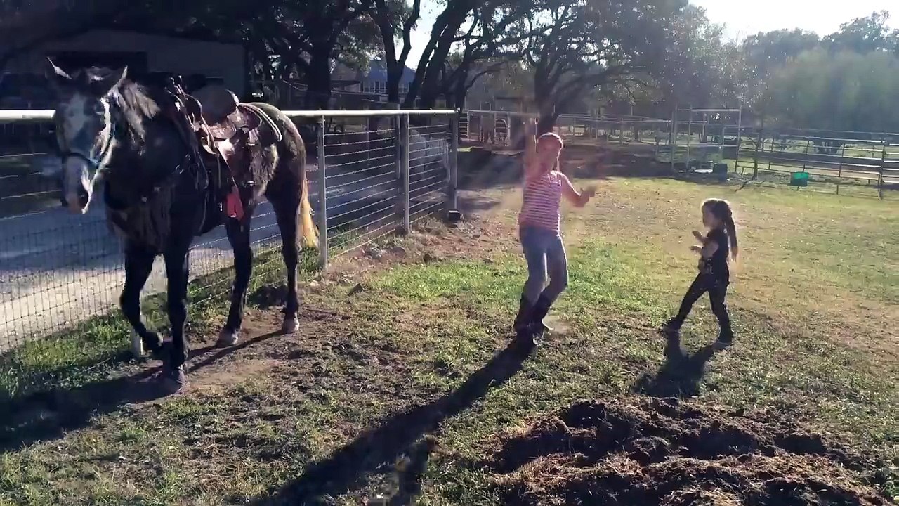La danse du cheval. Il groove à mort...