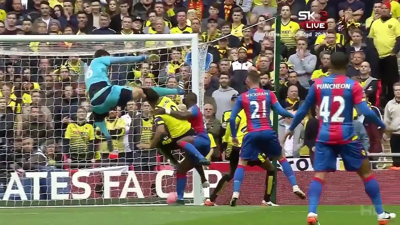 All Goals HD - Crystal Palace 2-1 Watford - 24-04-2016 FA Cup