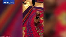 Unbelievable!Adorable dog wins over punters as he strolls through a Vegas casino on his hind legs