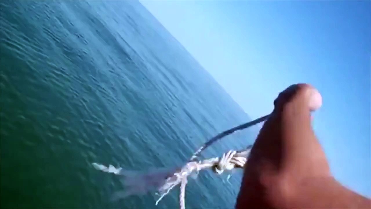 3 mecs sur un bateau prêchent un requin marteau,, Attendez de voir la suite...