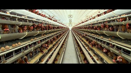 Conférence environnementale 2016 : bande annonce du film "Demain"