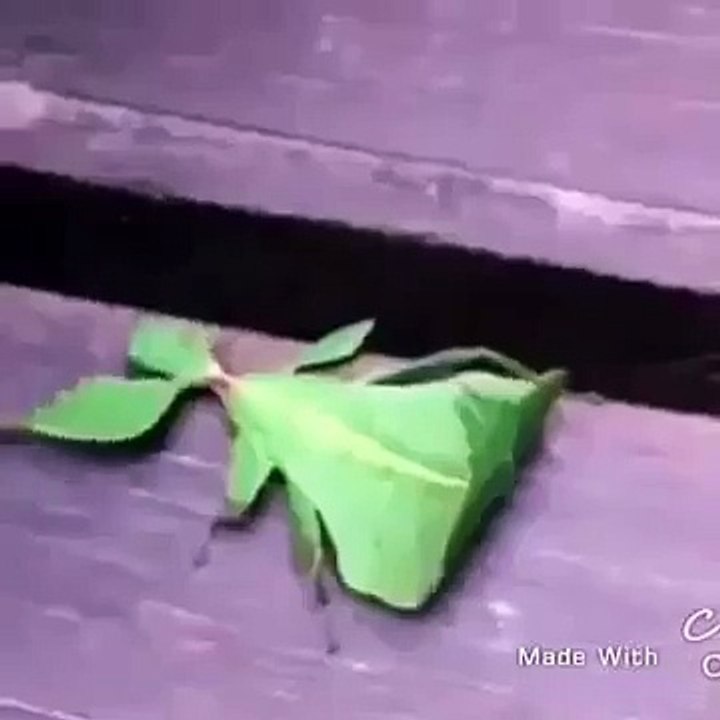 Allah Ki Qudrat Allah hu Akber