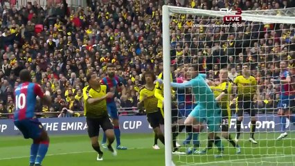 All Goals HD - Crystal Palace 2-1 Watford - 24-04-2016 FA Cup
