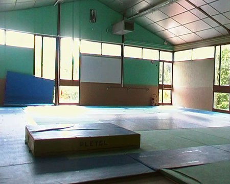 Henri Mauriès Salto Avant (360°)