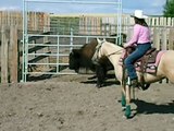 Tina on buffalo