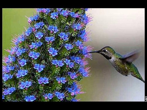 CUATRO PILARES FILOSÓFICOS - POEMA DE VERANO BRISAS